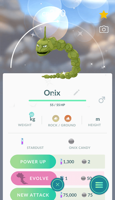 Failed a shiny onix in go