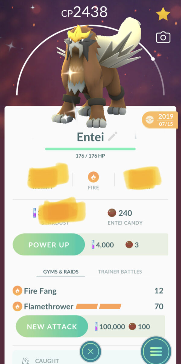 shiny entei pokedoll