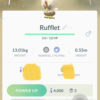 Shiny Rufflet Trading - Image 2